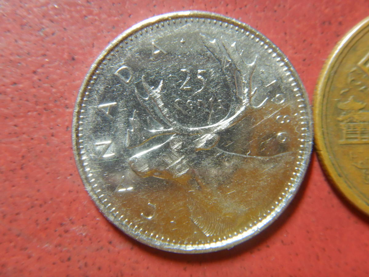 大特価!! カナダ 2007 ムネアカゴジュウカラ 25セントカラーコイン 旧