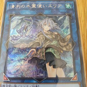 遊戯王 清冽の水霊使いエリア [SE] ETCO-JP055