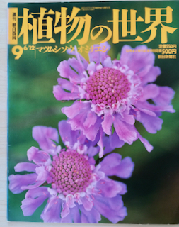 おみなえしの値段と価格推移は?|7件の売買データからおみなえしの