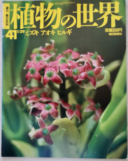 ＜フランス本＞　送料無料　［同梱割引あり］週刊朝日百科　植物の世界　４１ ミズキ　アオキ　ヒルギ　ほか １９９５年 １／２９