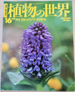 ＜フランス本＞　送料無料　［同梱割引あり］週刊朝日百科　植物の世界　１６ キリ　ウルップソウ　タヌキモ　ほか １９９４年 ７／３１