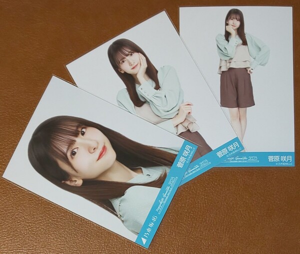 乃木坂46 菅原咲月 エメラルドグリーン×ブラウンコーデ 沖縄会場 会場限定 生写真 3種 真夏の全国ツアー2023