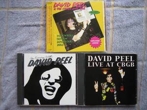 CD　DAVID PEEL 3タイトルセット　an evening with+live at CBGB+japan tour2003　中古品　デヴィッドピール　ジョンレノン　JOHNLENNON