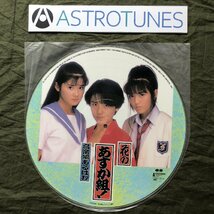 傷なし美盤 美ジャケ 1988年 花のあすか組！ ピクチャーLPレコード 音楽編あるばむ 帯付 石田ひかり 小高恵美 小沢なつき 12p写真ブック付_画像1