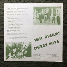1977年 オリジナルリリース盤 チェリー・ボーイズ Cherry Boys LPレコード ティーン・ドリームス Teen Dreams 名盤 帯付 At The Hop_画像6