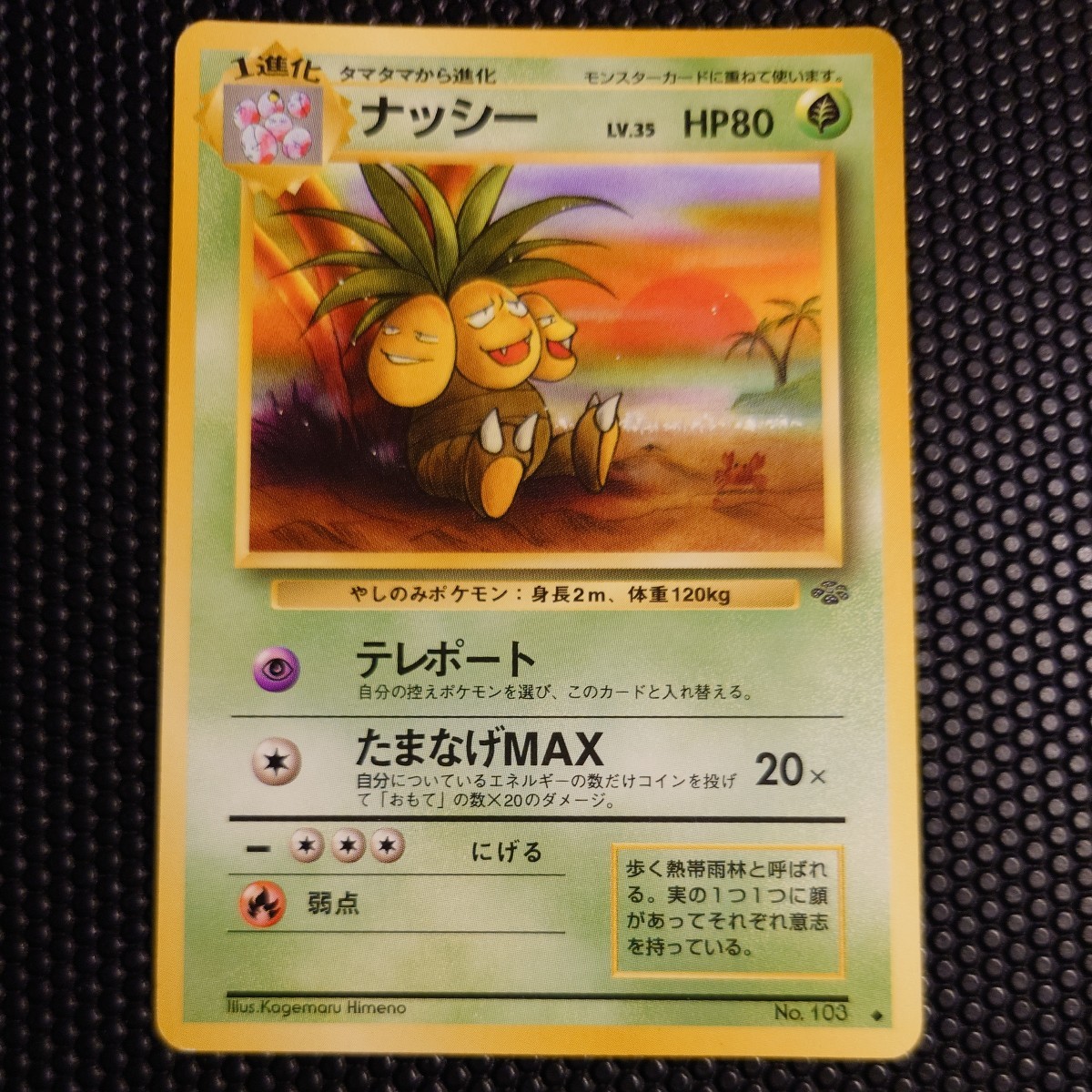 ヤフオク! -「ポケモンジャングル」の落札相場・落札価格