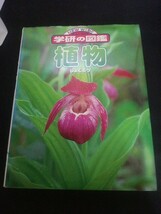 Ba5 03016 NEW WIDE ニューワイド 学研の図鑑 植物 総合監修/大場達之 2000年3月21日初版発行 学習研究社_画像1