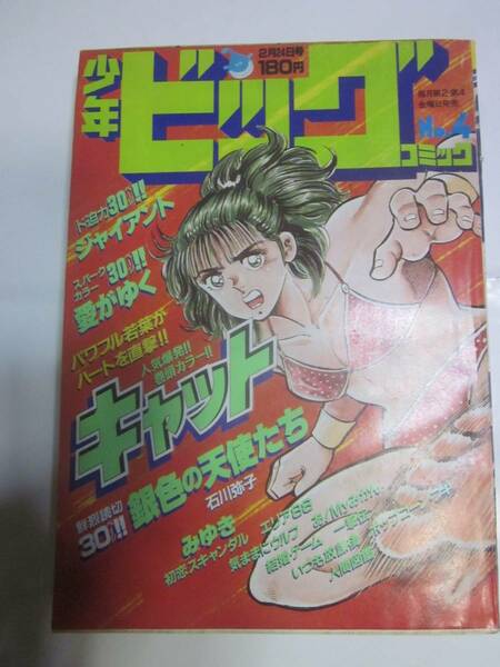 少年ビッグコミック　1984年2月24日　小山ゆう、あだち充、ほそかわ春、石川弥子、尾瀬あきら、新谷かおる、柳沢きみお