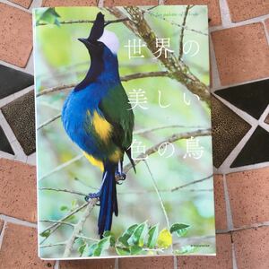 写真集 世界の美しい色の鳥