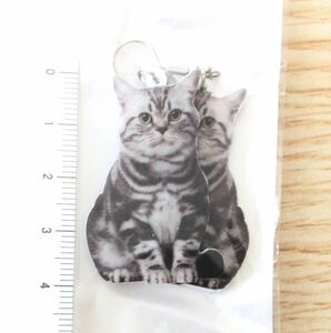 [ new goods ] american Short hair - Ame show cat earrings goods light weight animal cat Chan pretty 