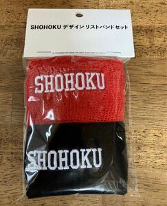 THE FIRST SLAM DUNK スラムダンク SHOHOKUデザイン 湘北リストバンドセット