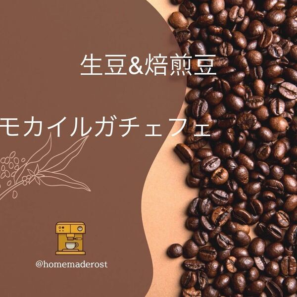 コーヒー豆 モカイルガチェフェ　生豆400g焙煎豆100g