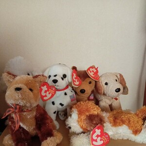 ty Beanie babes soft toy dog ..6 body set 