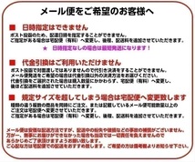 セントサック アイス Sサイズ 3個セット Scent Sak 芳香剤 車 部屋 吊り下げ エアフレッシュナー サシェ【メール便OK】_画像9