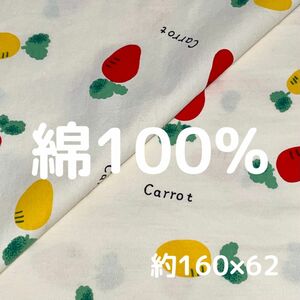 綿100% 生地 carrot柄 布 ハギレ