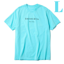 L 新品【68&BROTHERS Print Tee THENYC&Co Aqua ブラザーズ シックスティエイトアンドブラザーズ Tシャツ】_画像2