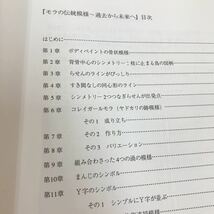 B15-155 モラの伝統模様 過去から未来へ 宮崎ツヤ子 _画像3