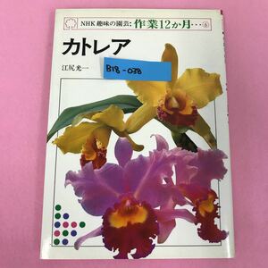 B18-038 NHK 趣味の園芸 作業12か月 6 カトレア 江尻光一 日本放送出版協会 ページ割れ有り