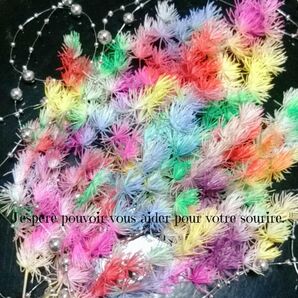 加工花材* 打ち上げ花火 ミリオクラダス プリザーブドフラワー レジン ハーバリウム 花材