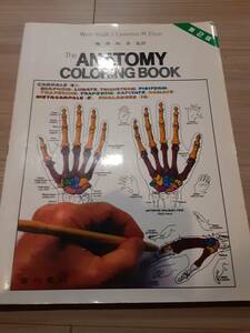 【送料無料】　ANATOMY CLORINGBOOK　嶋井 和世監訳　定価4515円