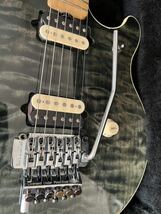 Musicman EVH signature ヴァンヘイレン　ミュージックマン　レア_画像6