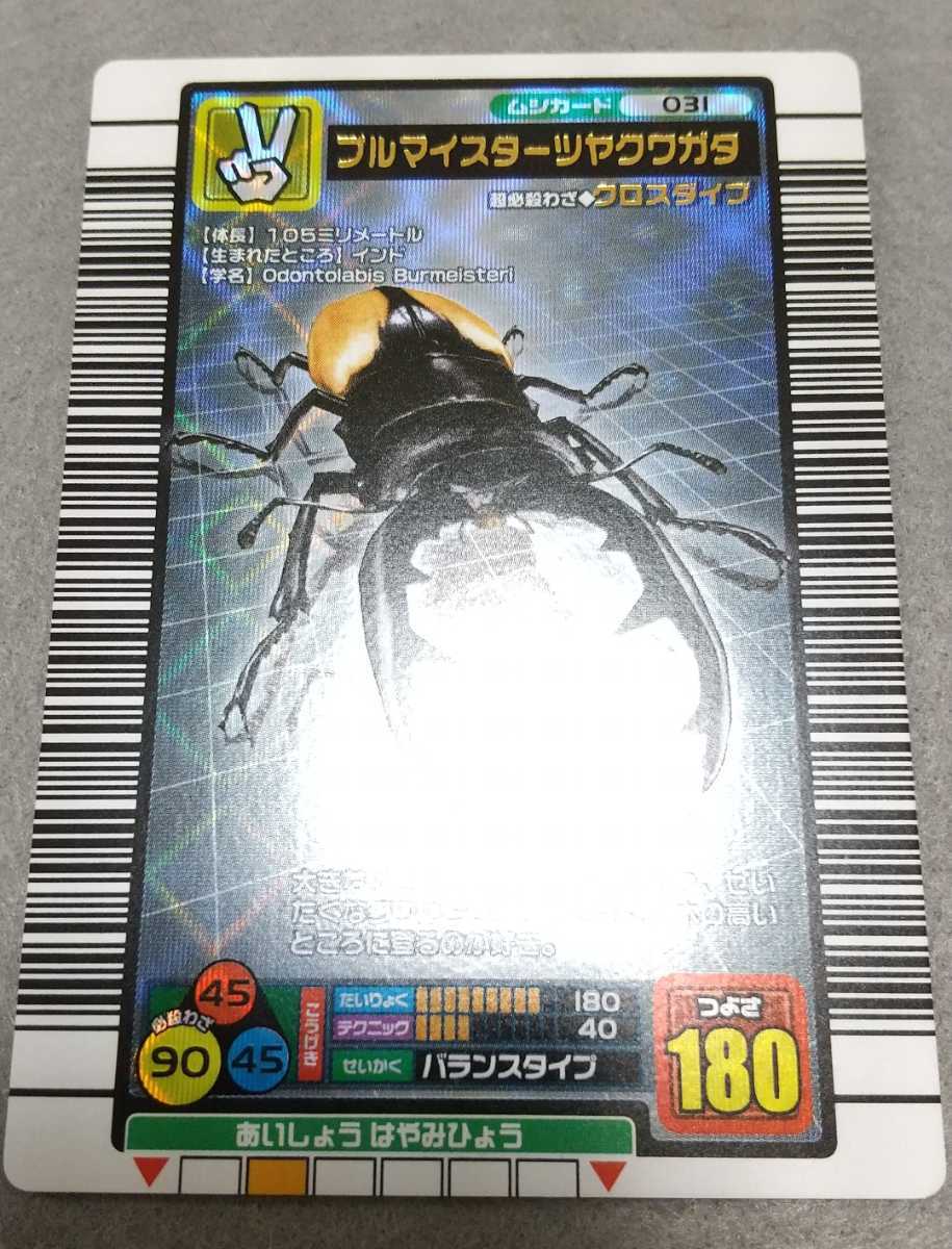 2023年最新】ヤフオク! -ブルマイスターツヤクワガタ(その他)の中古品