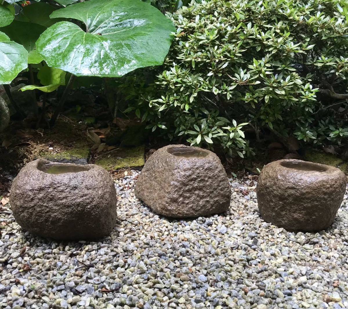 ヤフオク! 古民具植木、庭木 の落札相場・落札価格