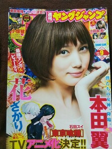 週刊ヤングジャンプ 2014年No.9 グラビア切り抜き 本田翼 小田島渚