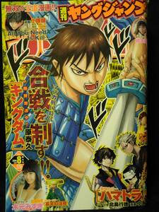 【新品同様】週刊ヤングジャンプ 2014年 No.8 木元みずき 橋本真帆