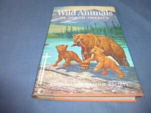 洋書「Wild Animals of North America」 National Geographic Society　1966年　英文　北米の野生動物