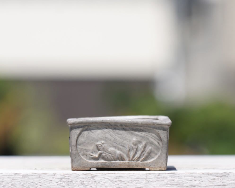 在庫処分】 【岡谷是心】是心の四角い苔鉢 植木鉢 盆栽鉢 落款あり 彫