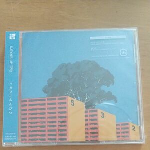 マカロニえんぴつ wheel of life 通常盤 CD