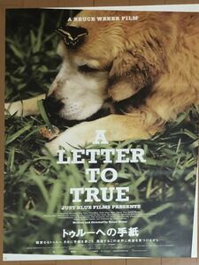 p495 映画ポスター トゥルーへの手紙 A LETTER TO TRUE ブルース・ウェバー Bruce Weber