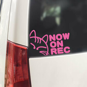 NOW ON REC/ステッカー（ライトピンク/ネコ13.5cm）ドライブレコーダー搭載車/録画中//