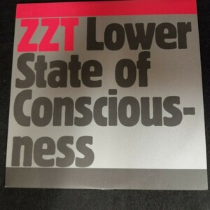 C07 中古LP 中古レコード　ZZT lower state of consciousness 12 TURBO 043 TIGA ZOMBIE NATION