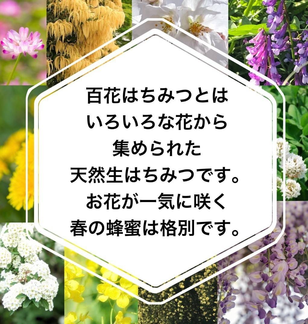 新蜜! 生はちみつ5月20日採れたて天然150gを2本非加熱蜂蜜国産| JChere