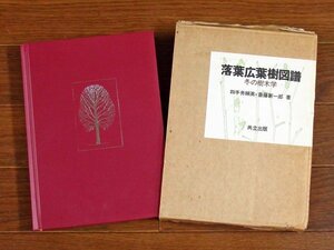 落葉広葉樹図譜 冬の樹木学 函入り 四手井綱英/斎藤新一郎/著 共立出版 EB33