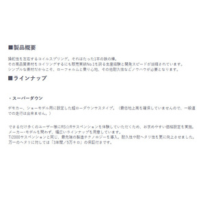 RS-R スーパーダウン ハスラー MR41S 2WD車 ダウンサス 代引き手数料無料 送料無料(沖縄・離島除く)