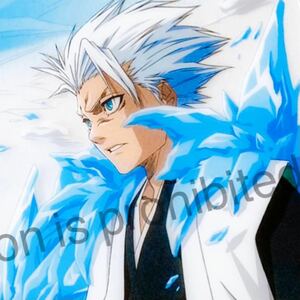 即決 BLEACH ブリーチ グッズ クリアカード デカ カード トレカ トレーディングカード コミック 漫画 アニメ 日番谷 冬獅郎 日番谷冬獅郎