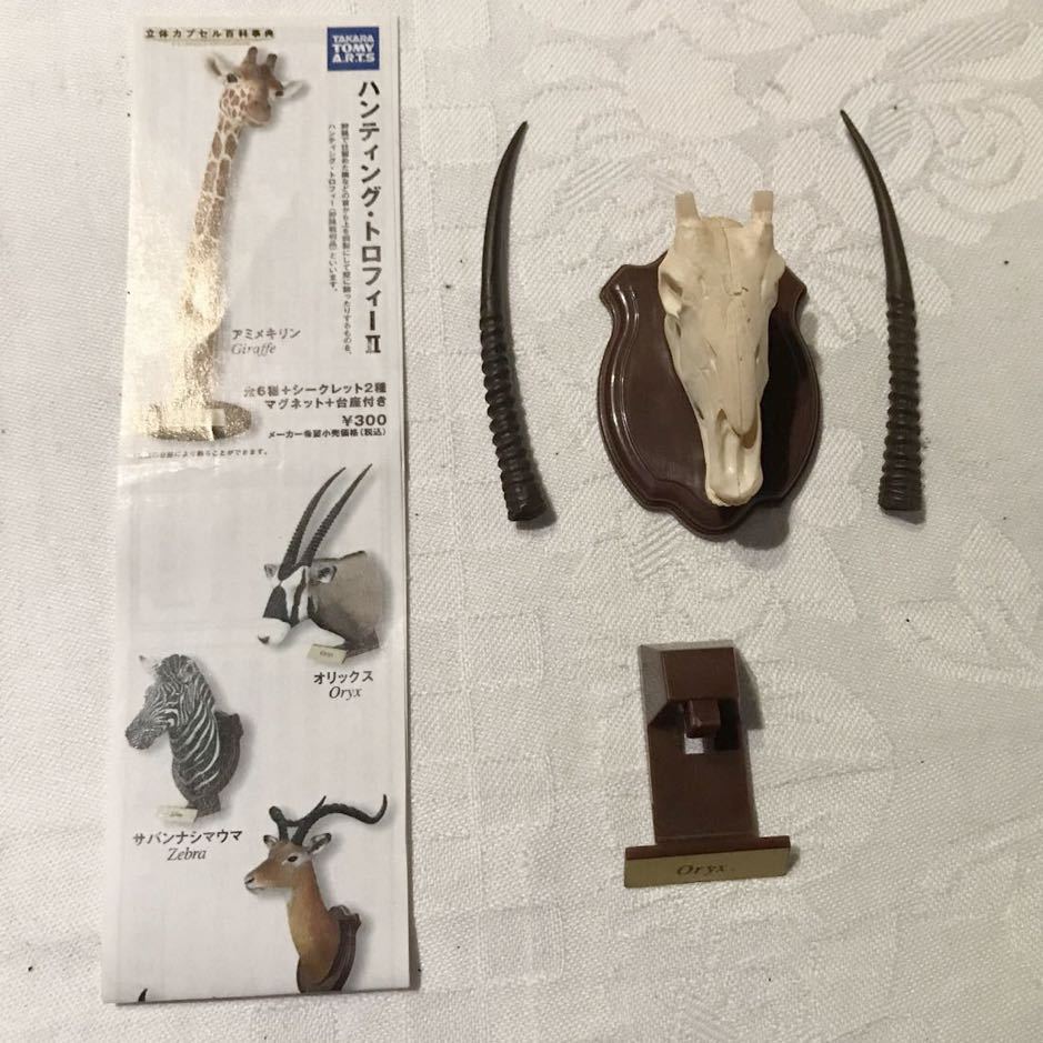 年最新ヤフオク!  ハンティングトロフィー生き物の中古品