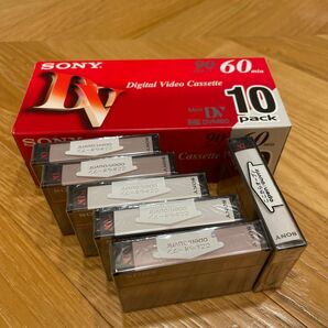 ミニDV SONY