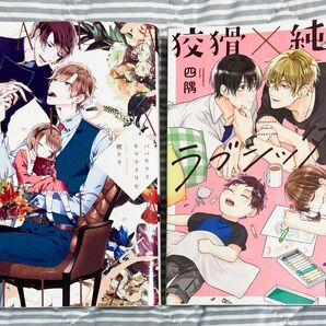 BL漫画 コミック 2冊セット 楔ケリ 四隈