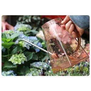  Northern Europe . rain . pitcher succulent plant decorative plant gardening pitcher garden gardening garden veranda watering keep hand interior /A