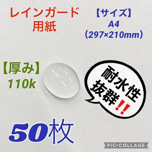 「レインガード紙 110k」 水に強い！水をはじく！不思議な紙