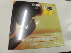 12LP 杉山清貴/shade