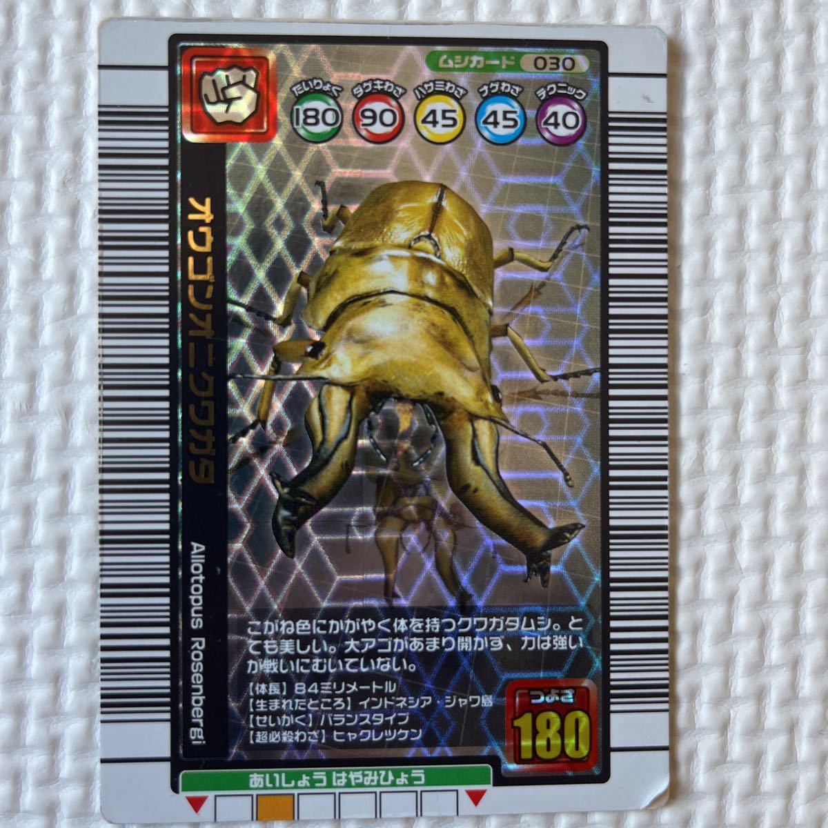 お1人様1点限り ムシキング コーカサスオオカブト グランディス