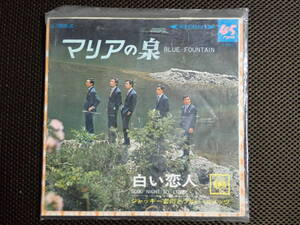 ブルー・コメッツ/マリアの泉 中古EPレコード(シングル盤)