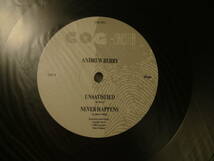 アナログ ● 輸入盤～Andrew Berry Unsatisfied レーベル:Cog Sinister COG SIN 1_画像4