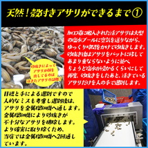 【アサリの旨み丸ごと真空パック】 使い分け便利な500g×2パック あさり 天然 殻付きどっさり1kg_画像3