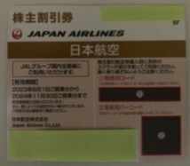 JAL株主優待 株主割引券（有効期限：2024年11月30日）_画像1